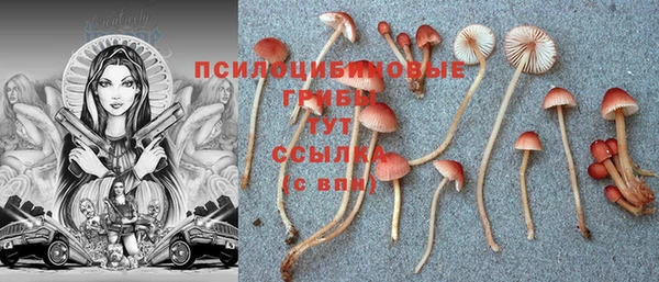 первитин Абаза